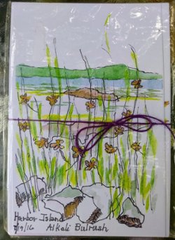 Set of 15 watercolor postcards