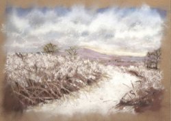 Prairie Snowscape 11" x 17" Pastel Print