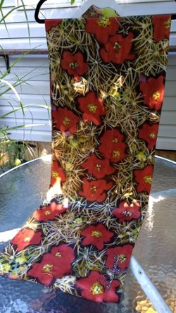 Cacti Fireworks